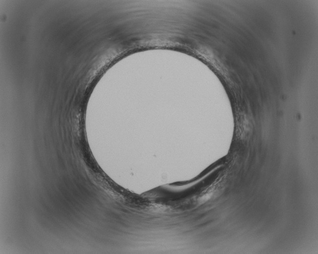 X0000062650111200601181820