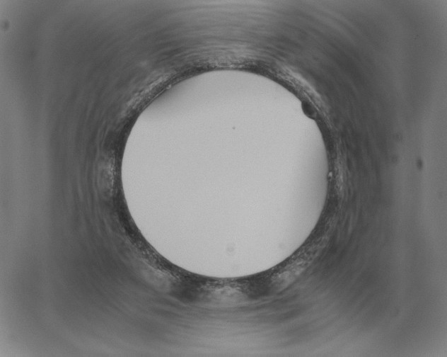 X0000062650113200601181819