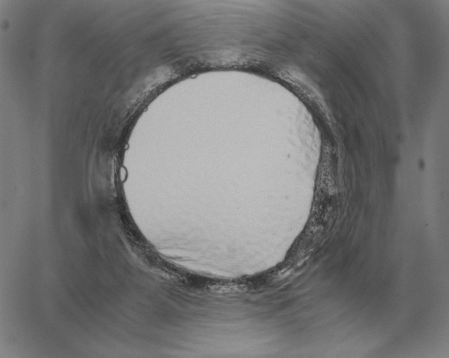 X0000062650115200601181819