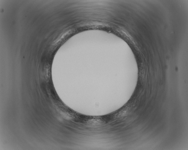 X0000062650119200601181819