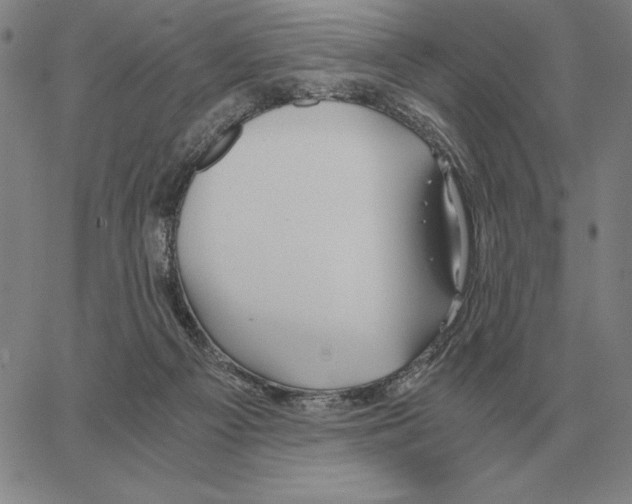 X0000062650121200601181819