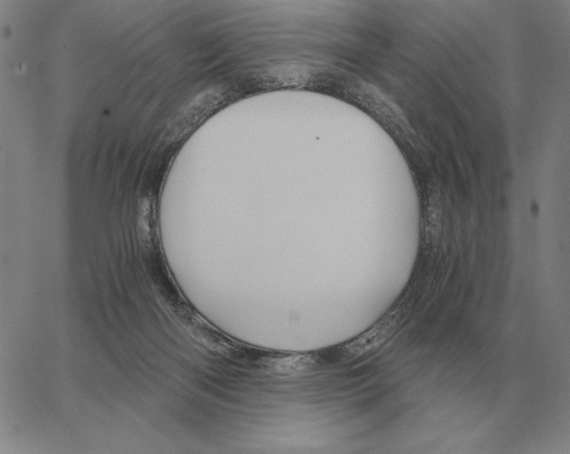 X0000062650122200601181819