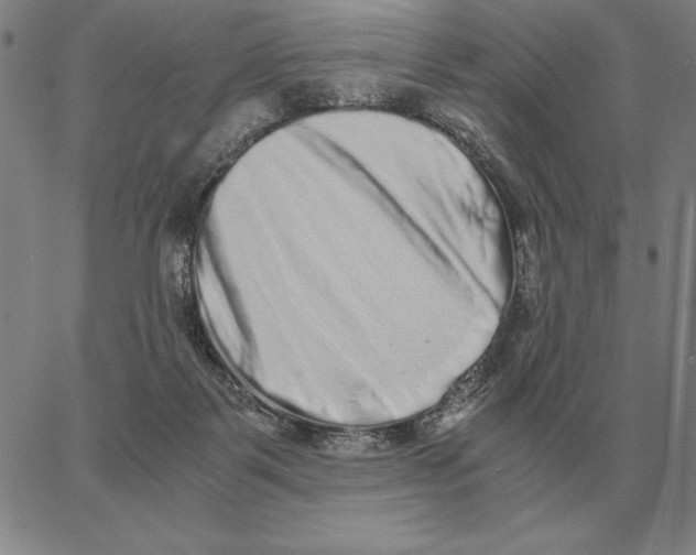 X0000062650123200601181819