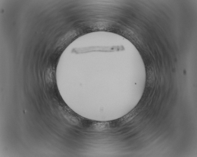 X0000062650126200601181819