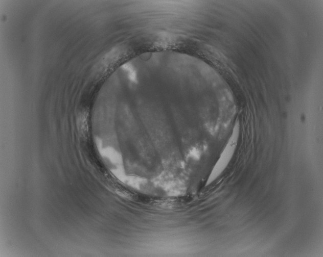 X0000062650127200601181819