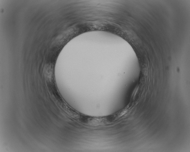 X0000062650129200601181819