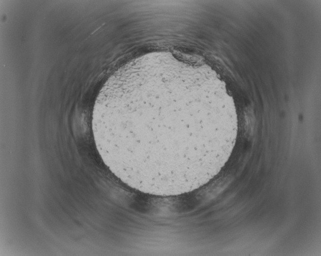 X0000062650131200601181819