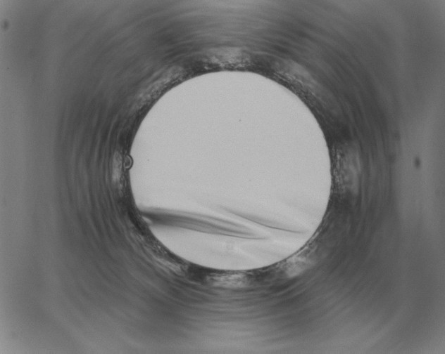 X0000062650132200601181819