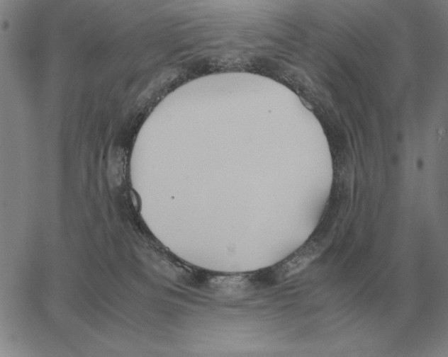 X0000062650133200601181819