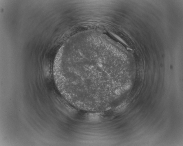 X0000062650134200601181819