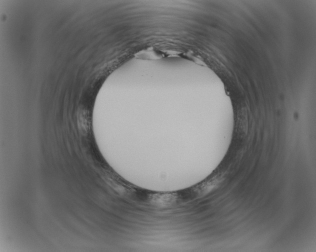 X0000062650135200601181819