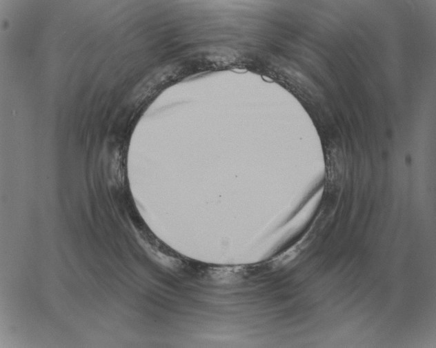 X0000062650136200601181819