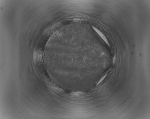 X0000062650137200601181819