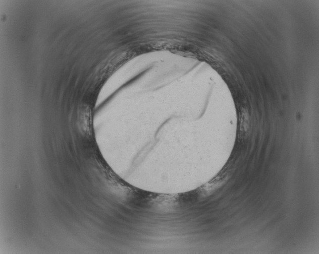 X0000062650138200601181819