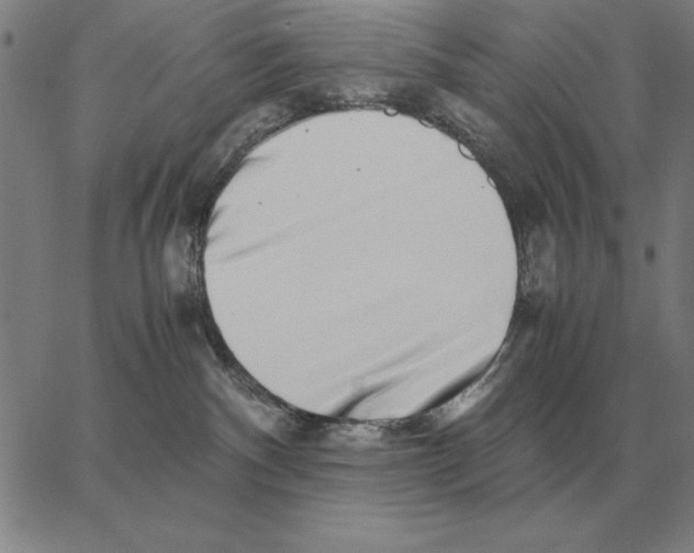 X0000062650140200601181819