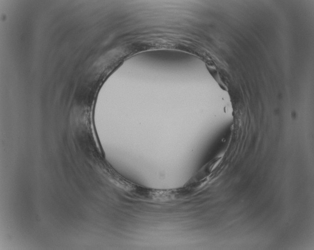 X0000062650141200601181819