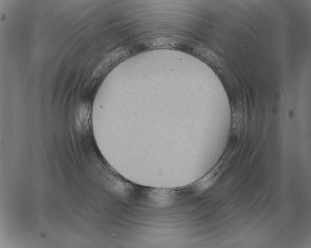 X0000062650142200601181819