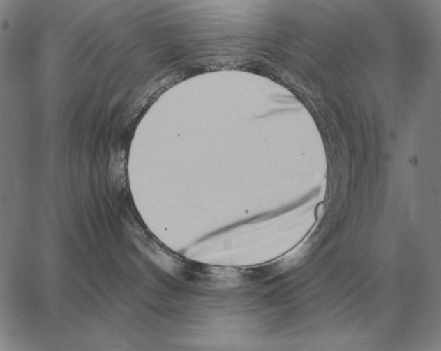 X0000062650144200601181819