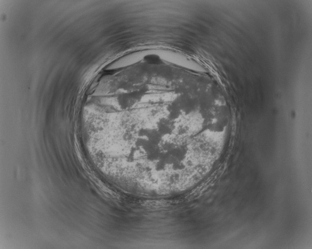 X0000062650145200601181818