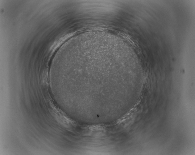 X0000062650146200601181818