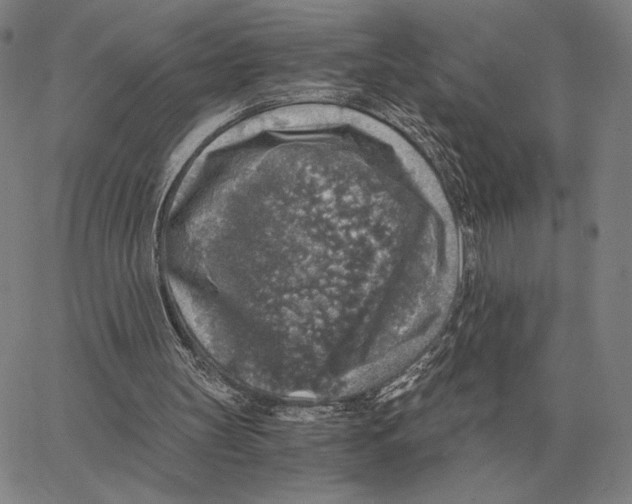 X0000062650147200601181818