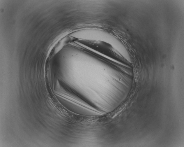 X0000062650148200601181818