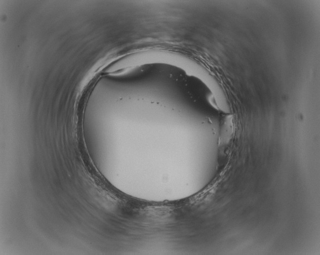 X0000062650150200601181818