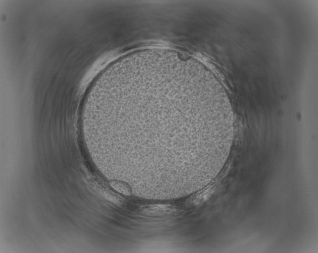 X0000062650151200601181818