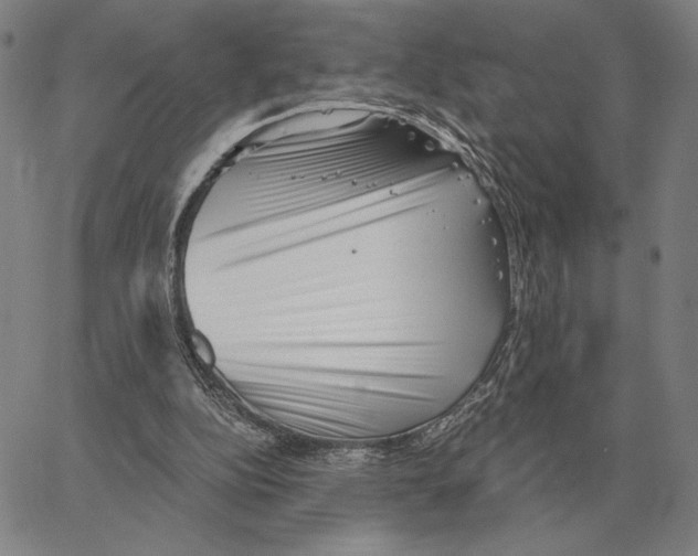 X0000062650152200601181818