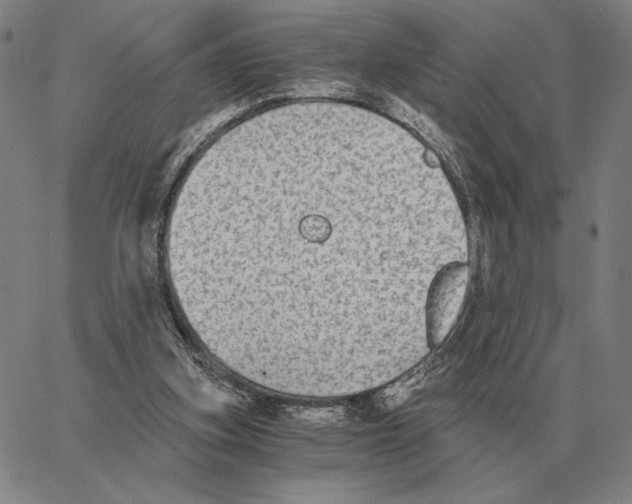 X0000062650155200601181818