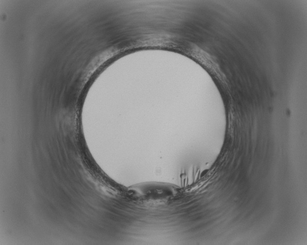 X0000062650156200601181818