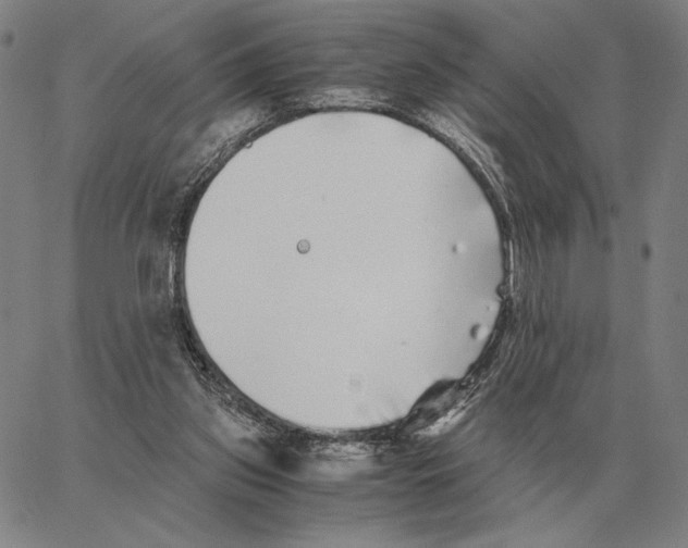 X0000062650157200601181818