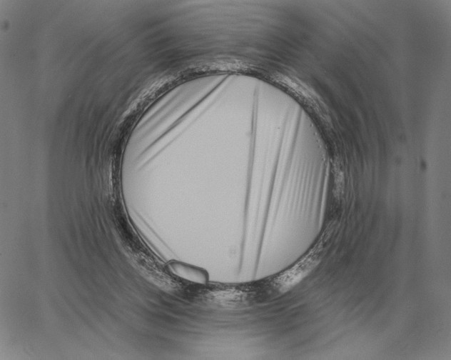 X0000062650158200601181818