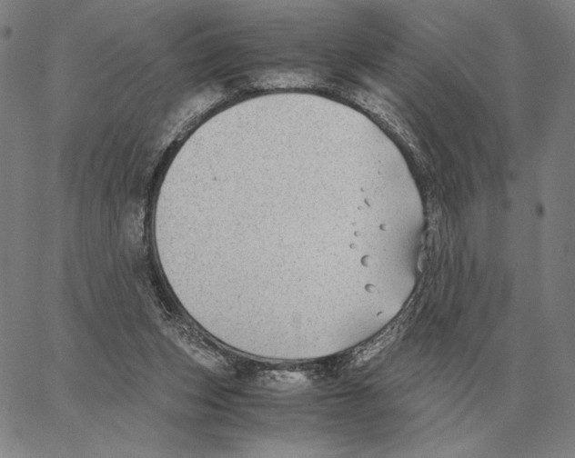 X0000062650159200601181818