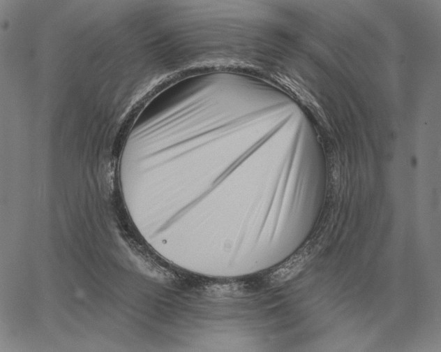 X0000062650160200601181818