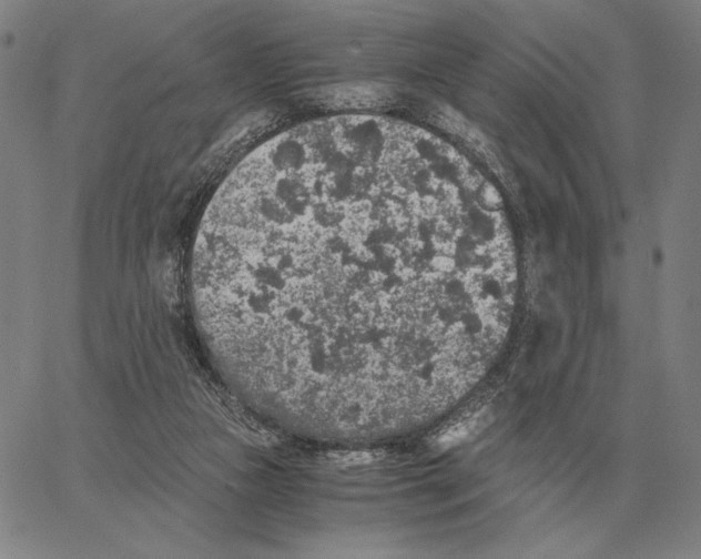 X0000062650161200601181818