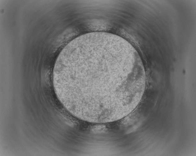 X0000062650162200601181818