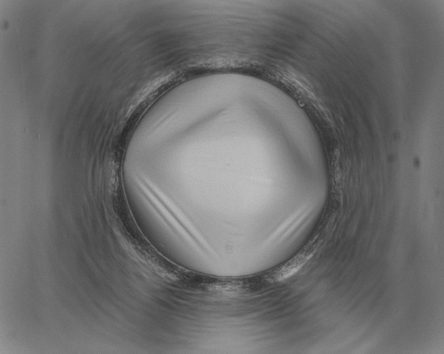 X0000062650164200601181819