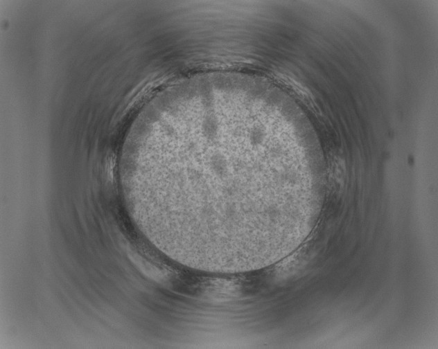 X0000062650166200601181819