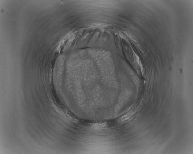 X0000062650168200601181819