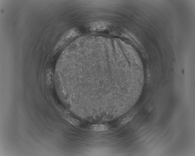 X0000062650169200601181819