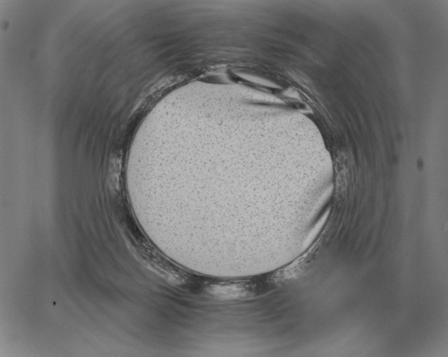 X0000062650171200601181819