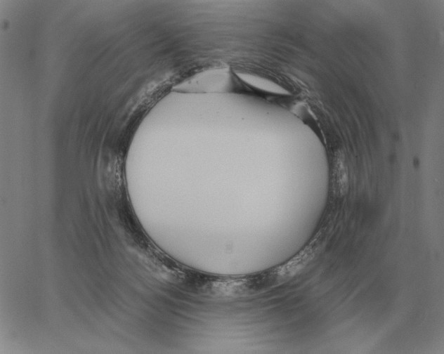 X0000062650172200601181819