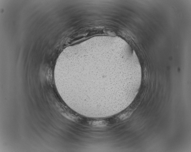 X0000062650173200601181819