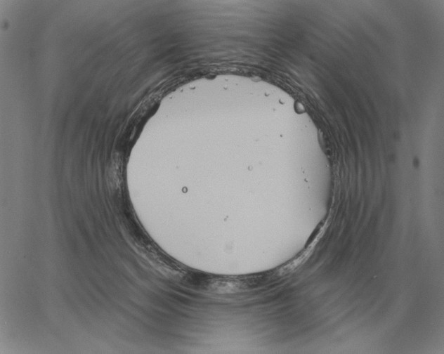 X0000062650174200601181819