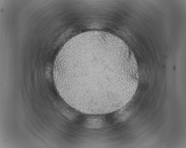 X0000062650175200601181819