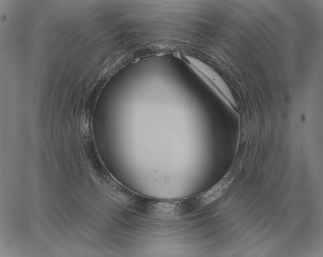 X0000062650176200601181819