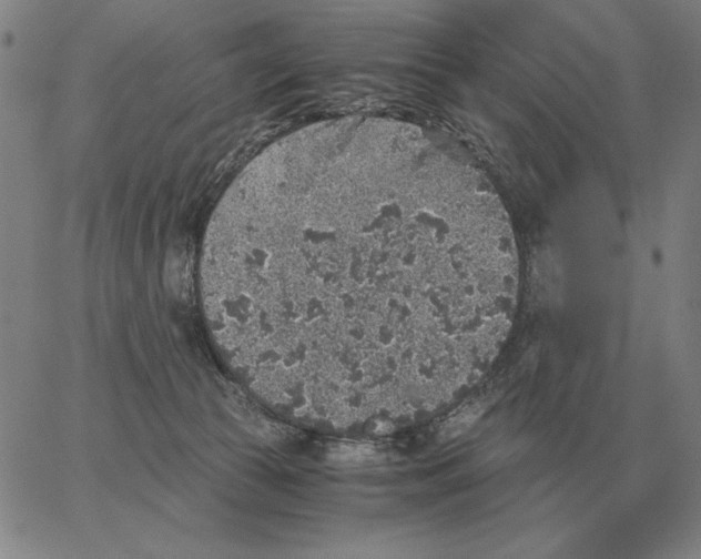 X0000062650177200601181819