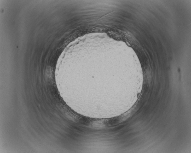 X0000062650178200601181819