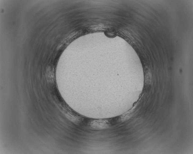 X0000062650179200601181819